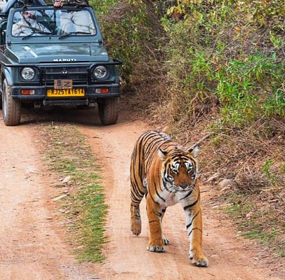 6 Days Delhi Jaipur Ranthambore Agra Tour