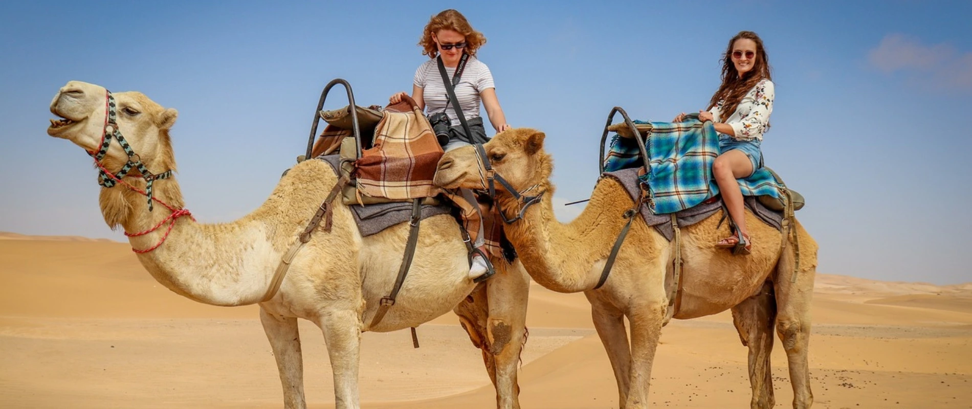 Rajasthan tour taxi service – City Palace Jaipur